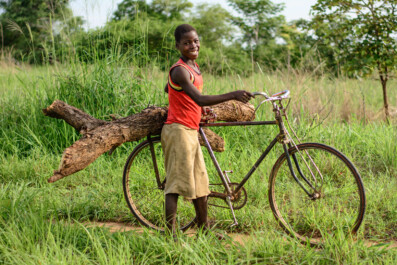 An African boy carries firewood on teh back of his bicycle rack.