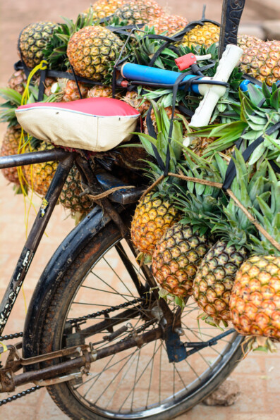 The rear rack of a bicycle in Africa is loaded up with pineapples.