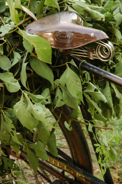 An Indian bicycle is loaded up with leaves