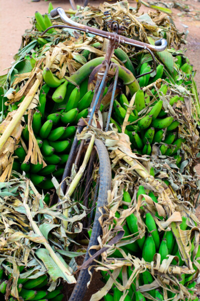 A bike is completely loaded up with bananas in Africa