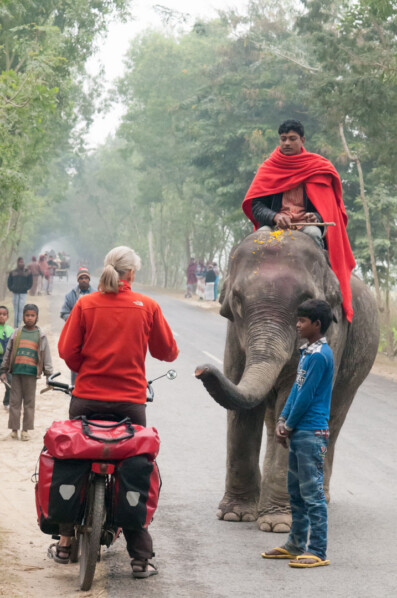 A touring bicyclist meets an elephant in Bangladesh.