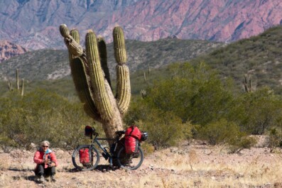 A fully loaded touring bicycle is leaned against a cactus in Argentina.