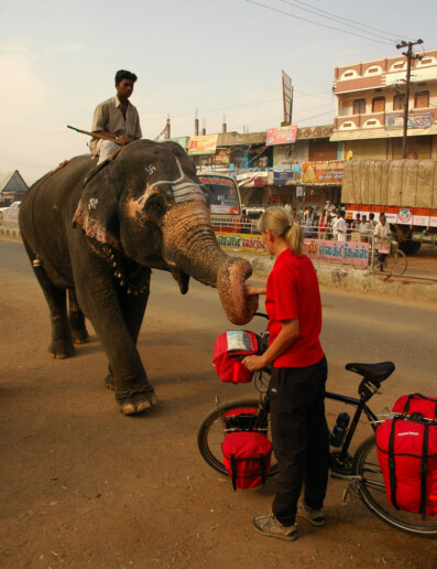 A touring bicyclist meets an elephant in South India.