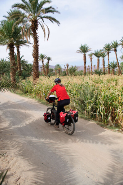 Acyclist pedals past palm trees in South Morocco