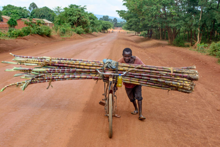 An African man pushes his bicycle that's loaded up with cane up a hill