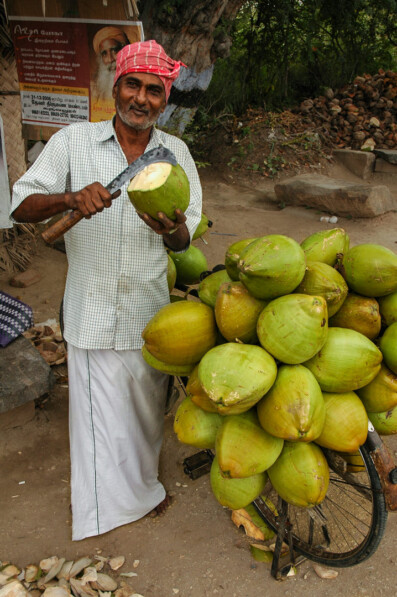 A cycling coconut salesman in India cuts open a coconut