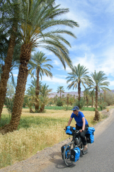 A touring cyclist pedals past palm trees in South Morocco