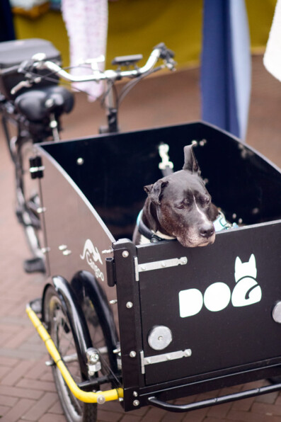 dog-cargo-bike
