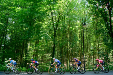 Dutch championship women's road cycling in Arnhem 2024.